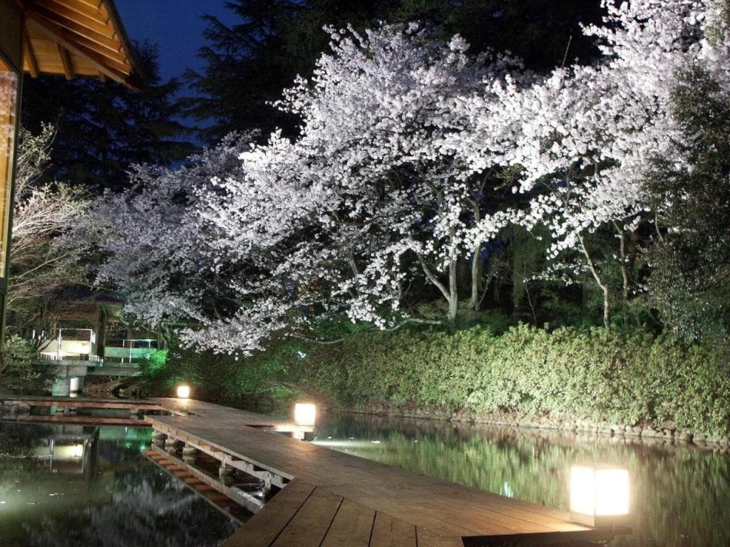 Matsusaki