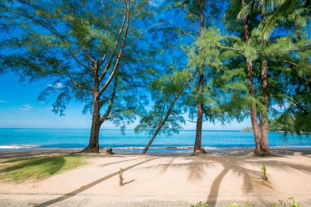The Anda Mani Khaolak Beachfront Villas