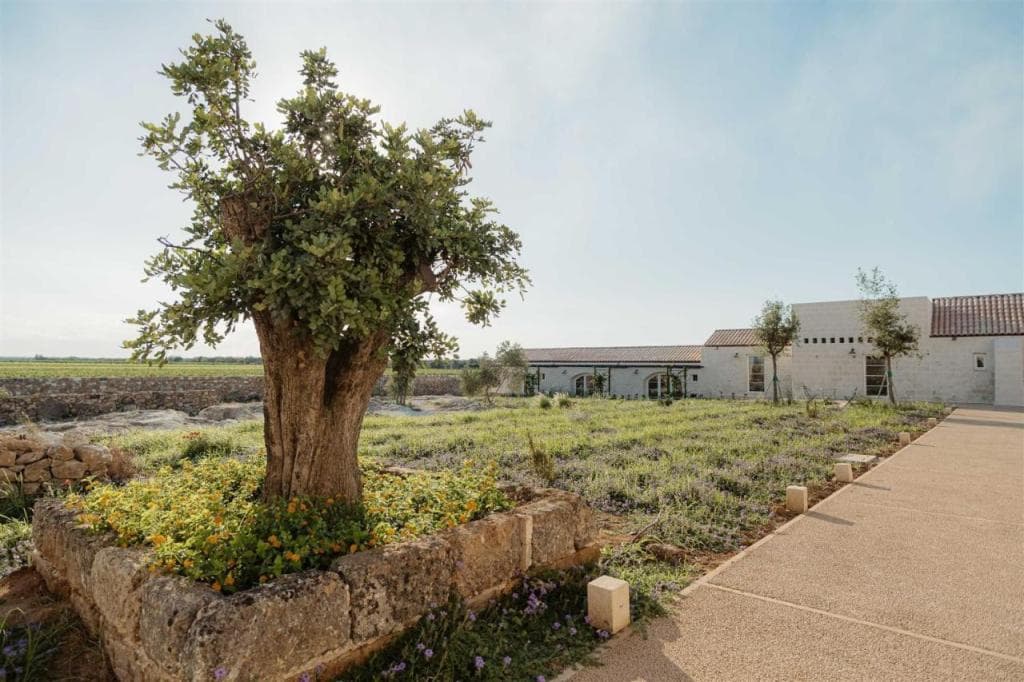 Masseria Vaccaro - Boutique Hotel