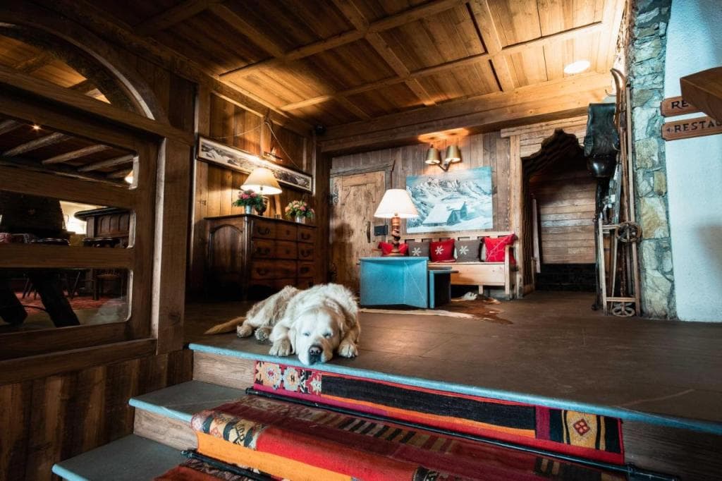 Hôtel LE BLIZZARD