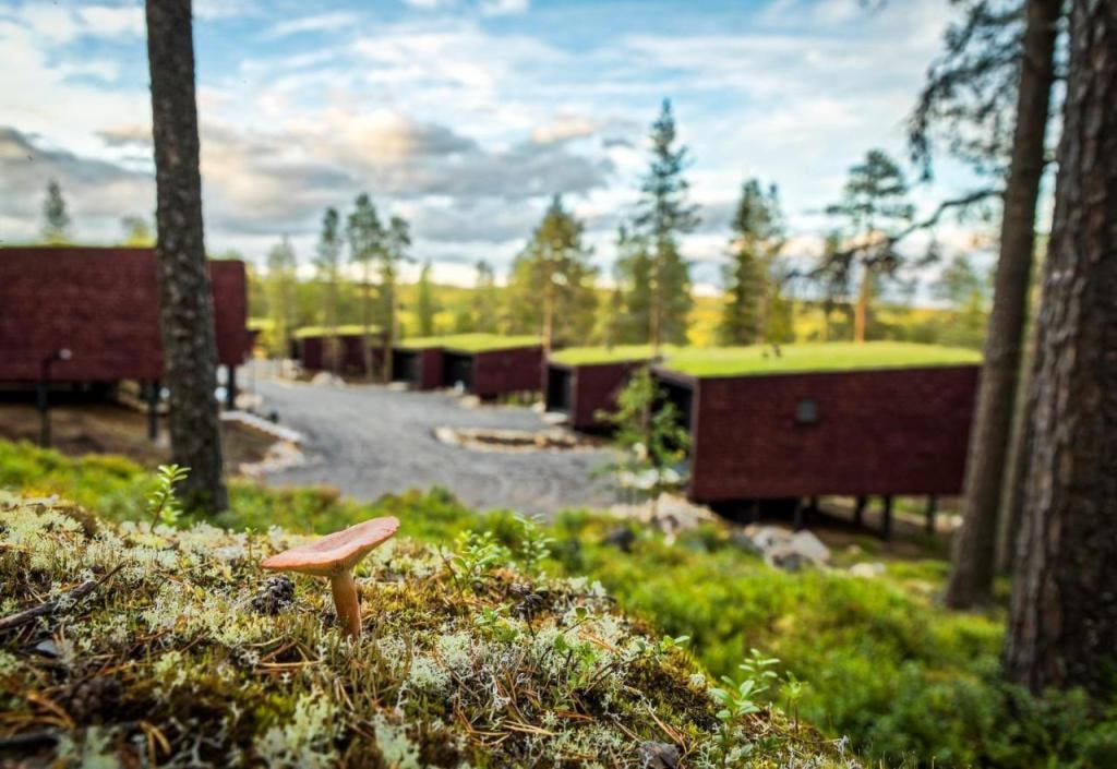 Arctic TreeHouse Hotel