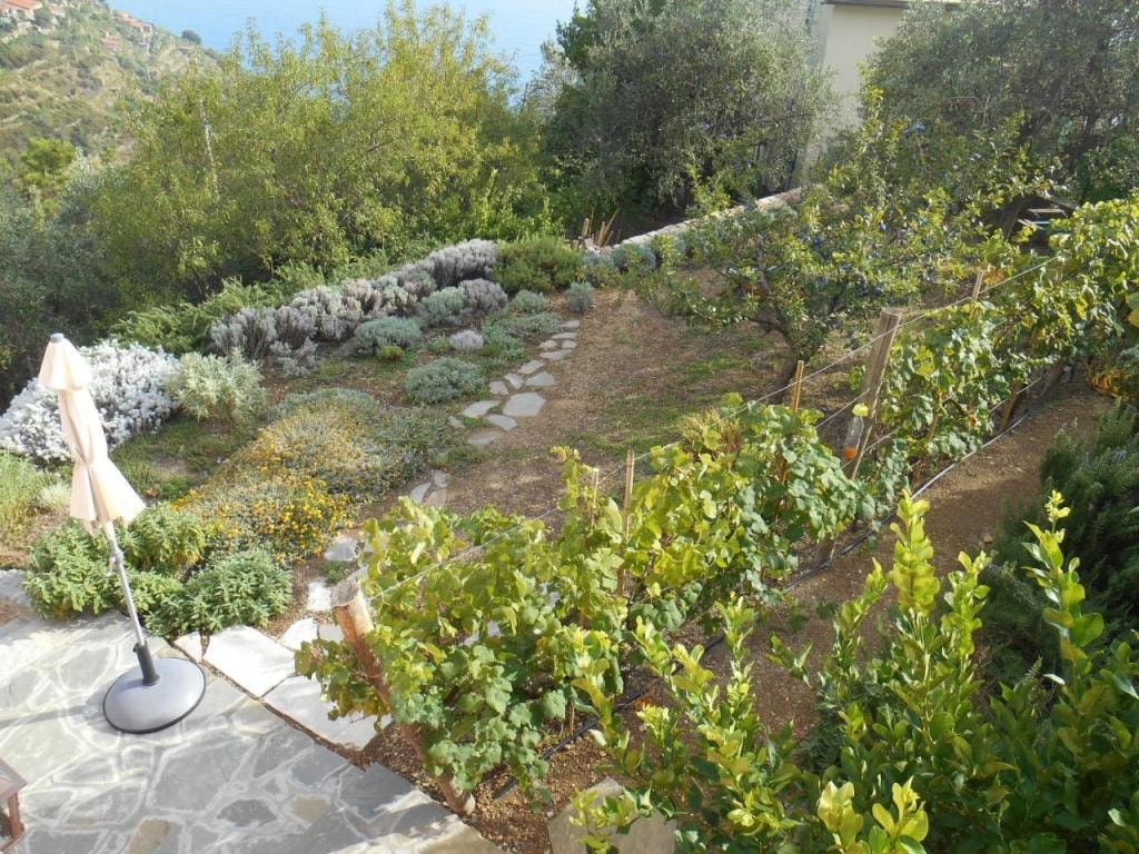 Il Nettare