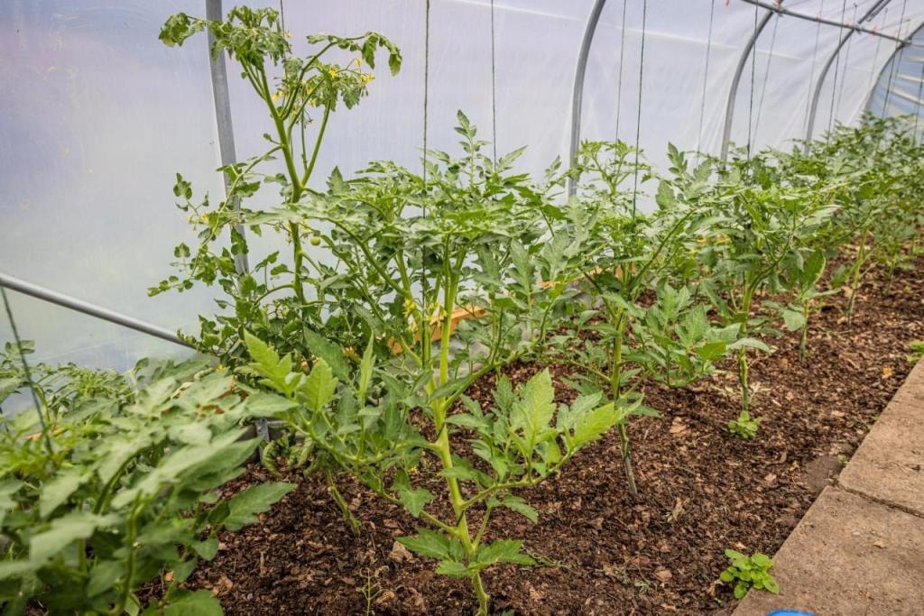 Horsted Place Hotel